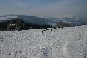 IMG_2416.JPG