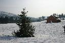 IMG_2419.JPG