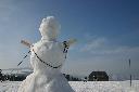 IMG_2430.JPG