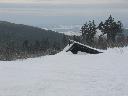 IMG_3299.JPG