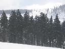 IMG_3309.JPG