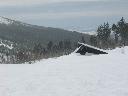 IMG_3310.JPG