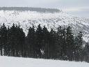 IMG_3311.JPG