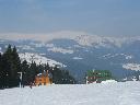 IMG_3369.JPG