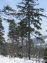 IMG_3376.JPG