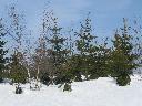 IMG_3377.JPG