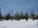 IMG_3378.JPG