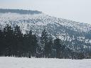 IMG_3383.JPG