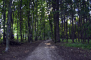 CRW_5854.jpg