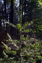 CRW_5855.jpg