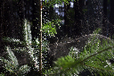 CRW_5856.jpg