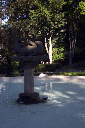 CRW_6004.jpg