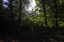 CRW_6005.jpg