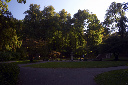 CRW_6014.jpg