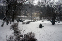 CRW_6440.jpg