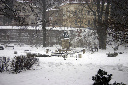 CRW_6441.jpg