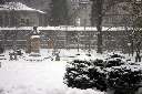 CRW_6443.jpg