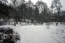 CRW_6447.jpg