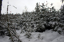CRW_6460.jpg