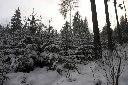 CRW_6461.jpg