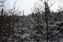 CRW_6463.jpg