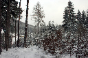 CRW_6466.jpg