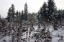 CRW_6467.jpg