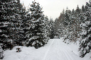 CRW_6471.jpg