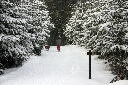 CRW_6472.jpg