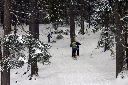 CRW_6473.jpg