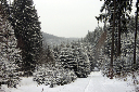 CRW_6474.jpg