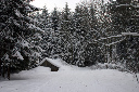 CRW_6475.jpg