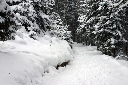 CRW_6476.jpg