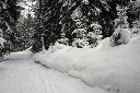 CRW_6479.jpg