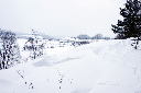 CRW_6481.jpg