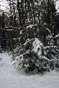 CRW_6485.jpg