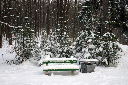 CRW_6486.jpg