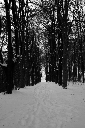 CRW_6487b.jpg