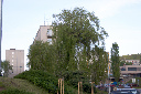 CRW_7513.jpg