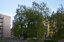 CRW_7514.jpg