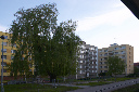 CRW_7517.jpg