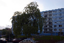 CRW_7522.jpg