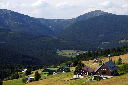 CRW_7990.jpg