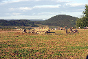 CRW_8113.jpg