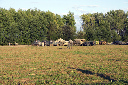 CRW_8114.jpg