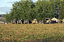 CRW_8115.jpg