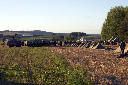 CRW_8117.jpg