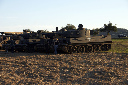 CRW_8121.jpg