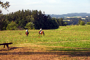 CRW_8852.jpg