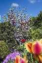 CRW_9313.jpg